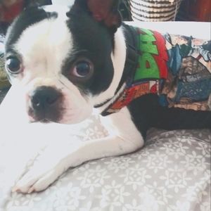 Meet your Posher, Danielle